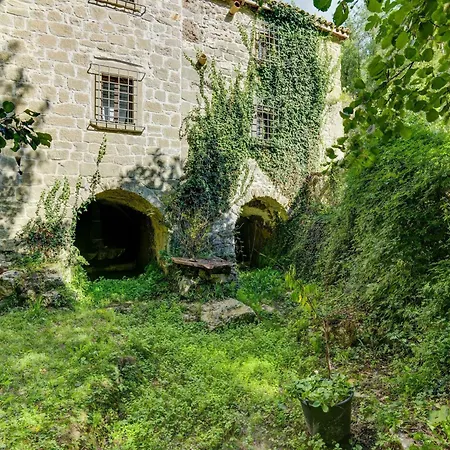 Family Mill With Bbq